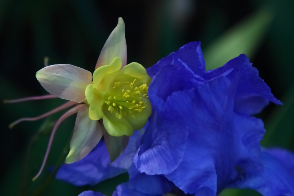 2012 05 20 3780